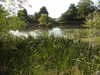 20200602165000-DSCN2539.JPG