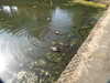 20200602165041-DSCN2540.JPG