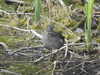 20200602165204-DSCN2548.JPG