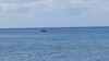 20200614144729-20200614_144729.jpg