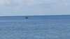 20200614144730-20200614_144730.jpg