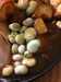 2020-07-26:Broadbeans from Garden
