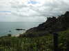 20200801111529-DSCN3227.JPG