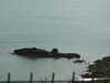 20200801111545-DSCN3229.JPG