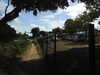 20200801150916-DSCN3241.JPG