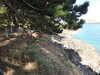 20200801151049-DSCN3242.JPG