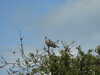 20200801151352-DSCN3243.JPG