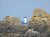 20200801151537-DSCN3245.JPG