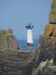 20200801151556-DSCN3247.JPG
