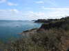 20200801151725-DSCN3248.JPG