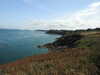 20200801152322-DSCN3256.JPG