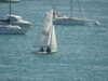 20200801152343-DSCN3257.JPG