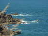 20200801152522-DSCN3260.JPG