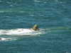 20200801152529-DSCN3261.JPG