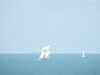 20200801152638-DSCN3262.JPG