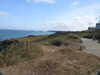 20200801153004-DSCN3266.JPG