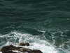 20200801153546-DSCN3271.JPG
