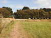 20200801155210-DSCN3278.JPG