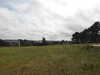 20200801155212-DSCN3279.JPG