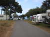 20200801155711-DSCN3280.JPG