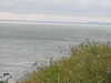 20200802055835-DSCN3296.JPG
