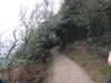 20200802192401-DSCN3305.JPG