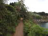 20200802192621-DSCN3313.JPG