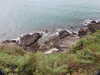 20200802192640-DSCN3314.JPG