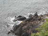 20200802192650-DSCN3315.JPG