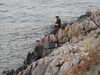 20200802194222-DSCN3336.JPG