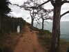 20200802194233-DSCN3337.JPG