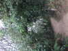 20200802202442-DSCF5122.JPG
