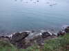 20200802202722-DSCF5127.JPG
