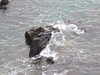 20200802202804-DSCF5129.JPG