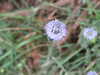 20200802202829-DSCF5130.JPG