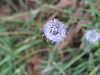 20200802202839-DSCF5131.JPG