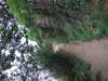 20200802203003-DSCF5135.JPG