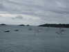 20200802203307-DSCF5138.JPG