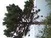 20200802205044-DSCF5145.JPG