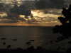 20200803062738-DSCN3349.JPG