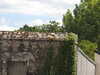 20200803151823-DSCN3360.JPG