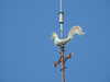 20200803152011-DSCN3362.JPG