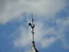 20200803152817-DSCN3365.JPG