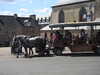 20200803152916-DSCN3368.JPG