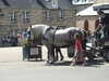 20200803152921-DSCN3369.JPG