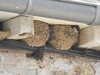 20200803153829-DSCN3372.JPG
