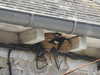 20200803153956-DSCN3374.JPG