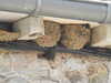 20200803154030-DSCN3375.JPG