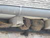 20200803154110-DSCN3376.JPG