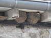 20200803154112-DSCN3377.JPG